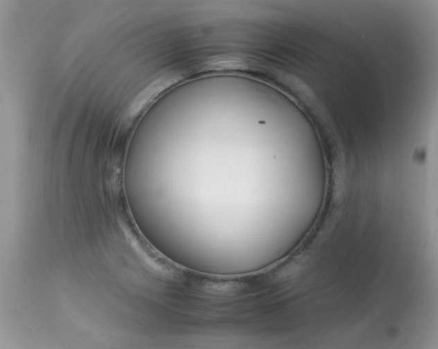 X0000113091225200909182105