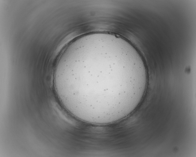 X0000113091227200909182105