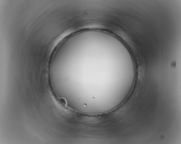 X0000113091229200909182105