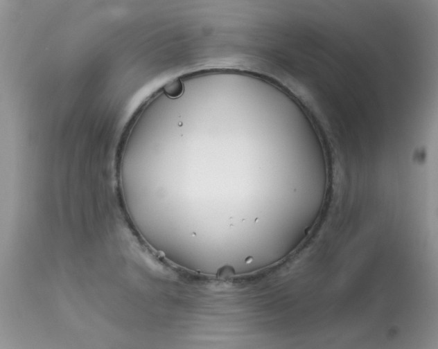 X0000113091230200909182105