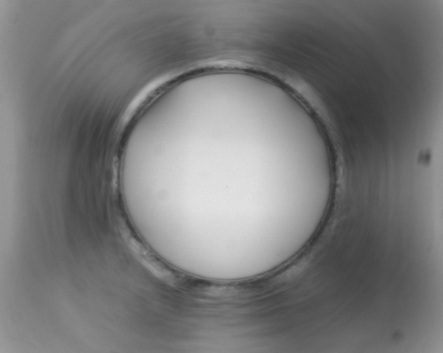 X0000113091232200909182105