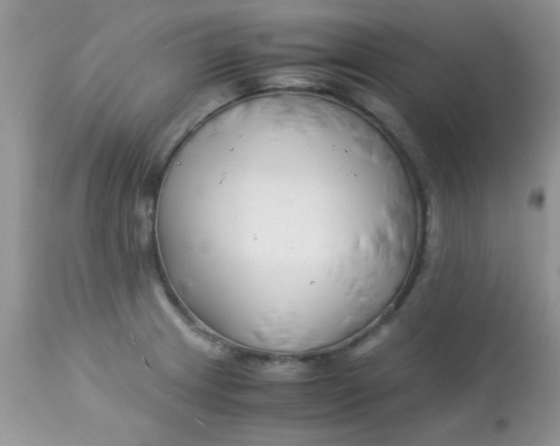 X0000113091233200909182105