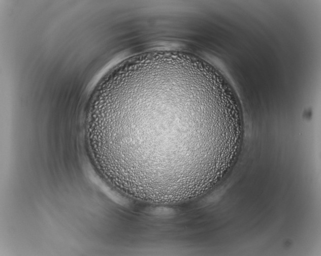 X0000113091235200909182105