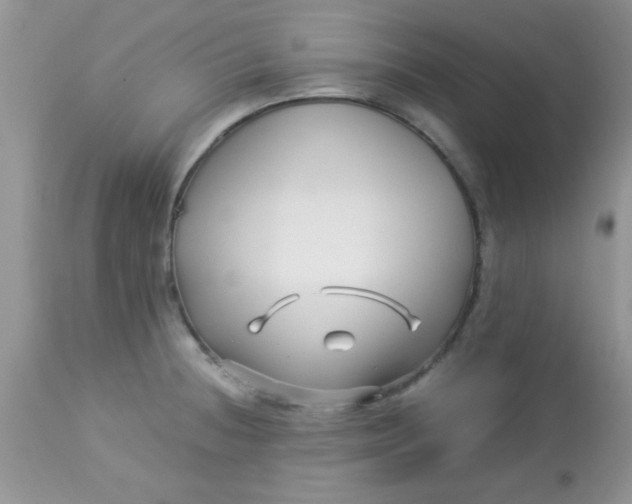 X0000113091236200909182105