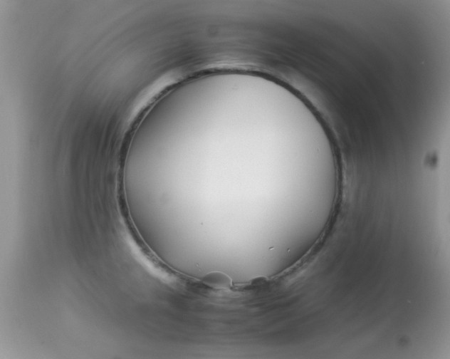 X0000113091237200909182105