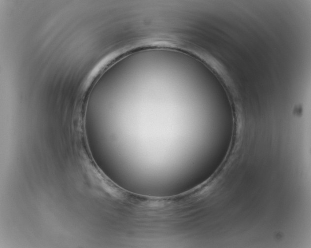 X0000113091240200909182105