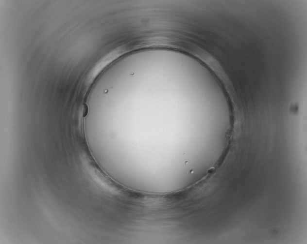X0000113091242200909182105