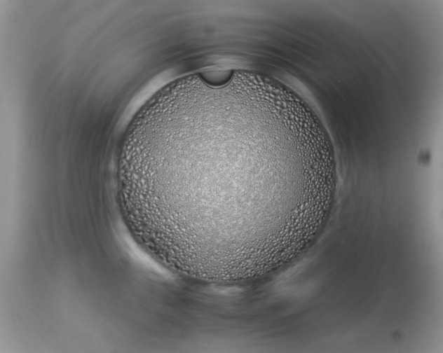 X0000113091243200909182105