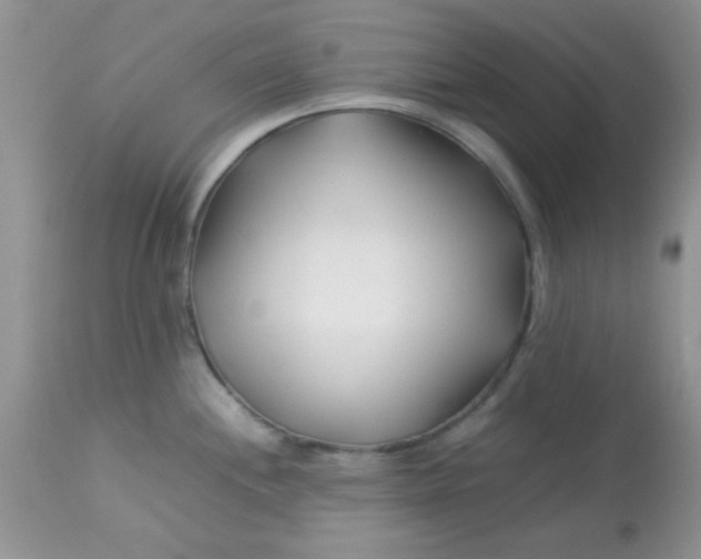X0000113091244200909182105