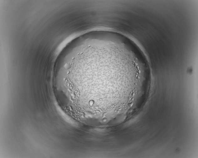 X0000113091245200909182106