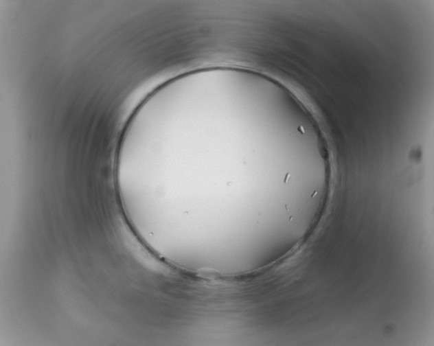 X0000113091246200909182106