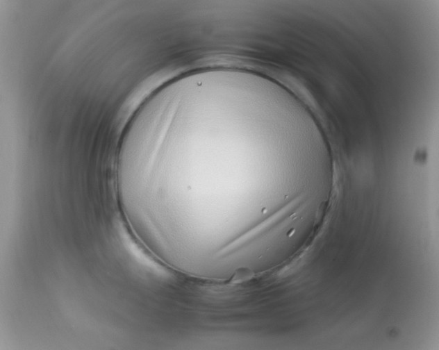 X0000113091247200909182106