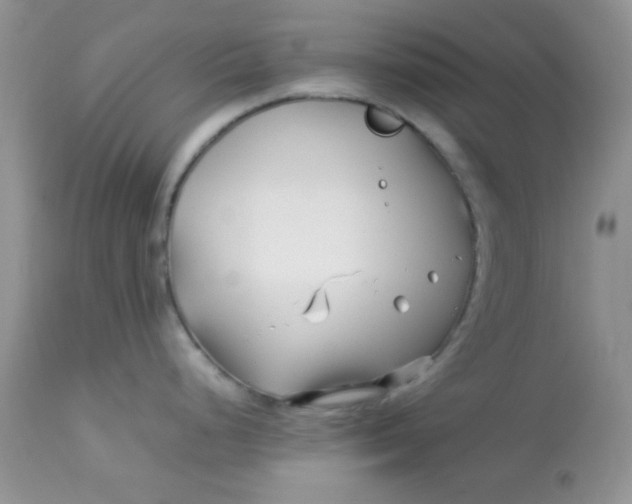 X0000113091248200909182106