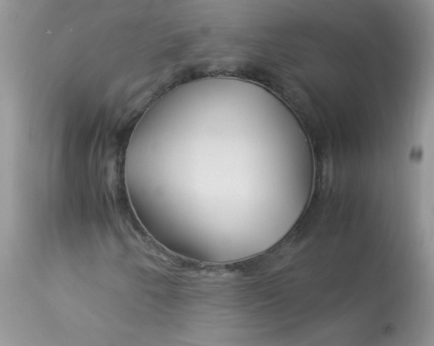 X0000113091250200909182105