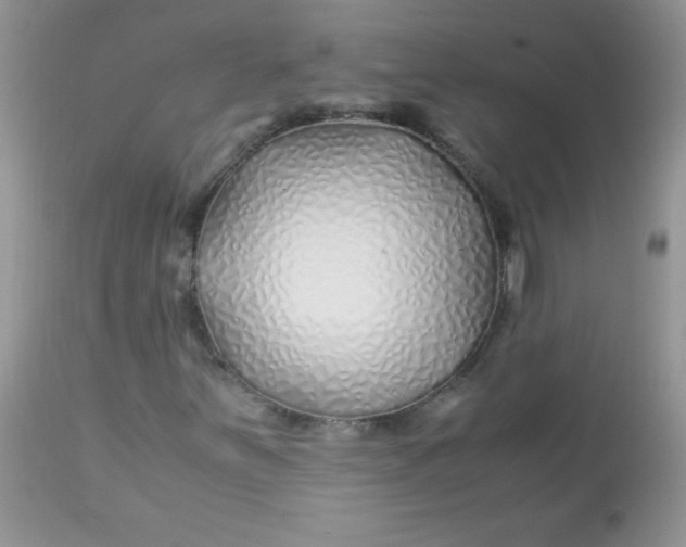 X0000113091251200909182105