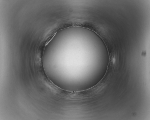 X0000113091252200909182105