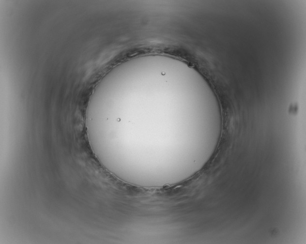 X0000113091253200909182105