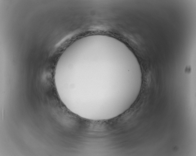 X0000113091254200909182105