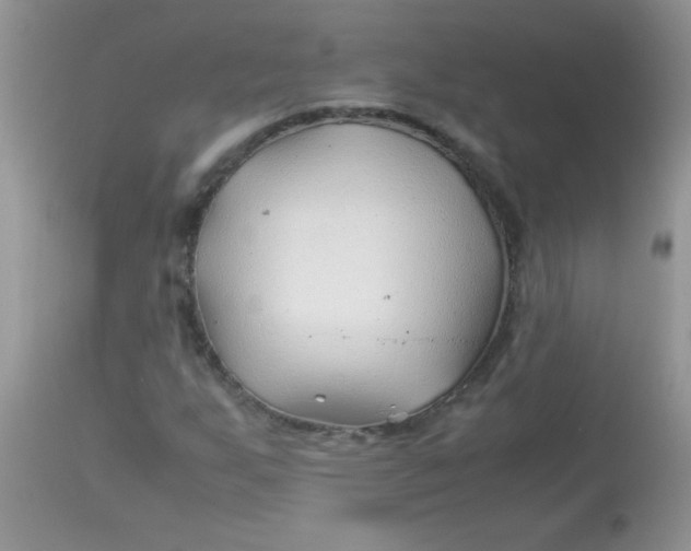 X0000113091255200909182105