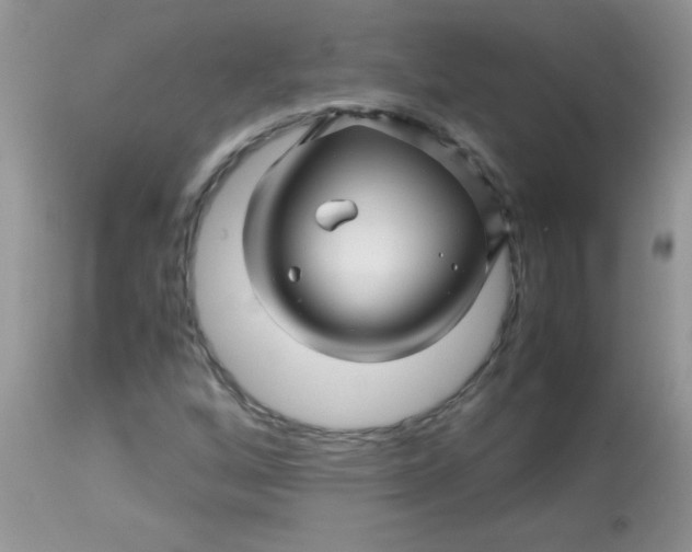 X0000113091256200909182105