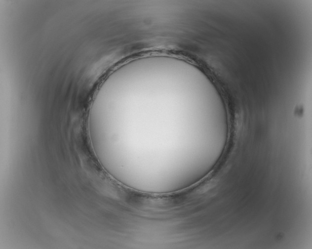 X0000113091257200909182105