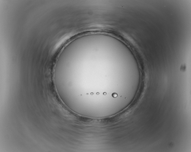 X0000113091259200909182105