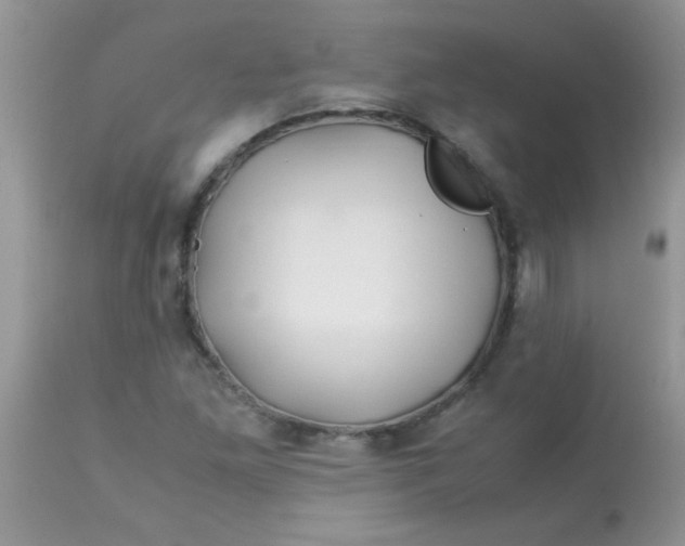 X0000113091261200909182105