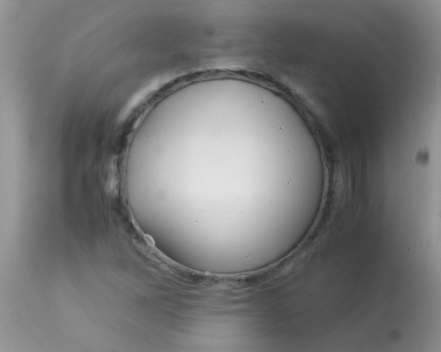 X0000113091262200909182105