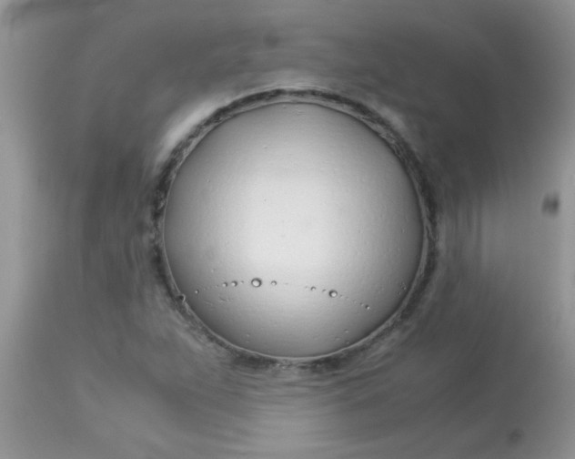 X0000113091263200909182105