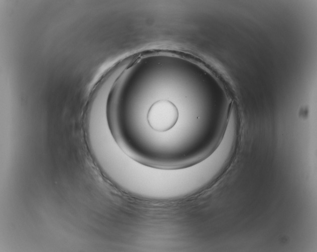 X0000113091264200909182105