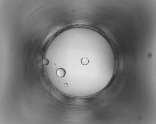 X0000113091266200909182105