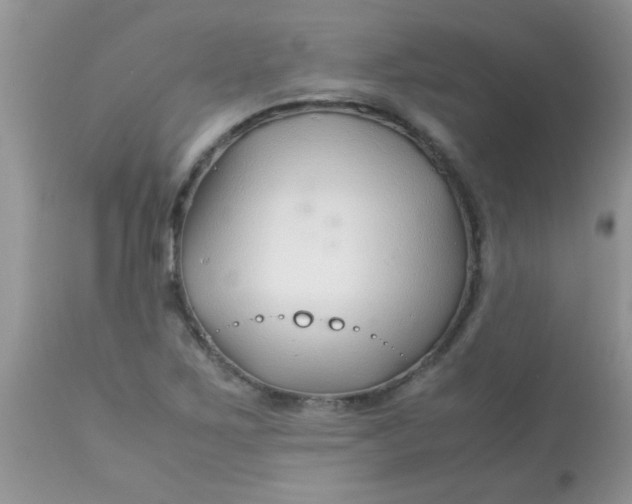 X0000113091267200909182105
