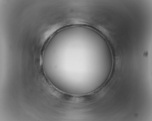 X0000113091269200909182105