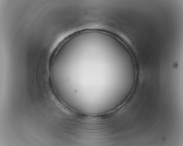 X0000113091270200909182105