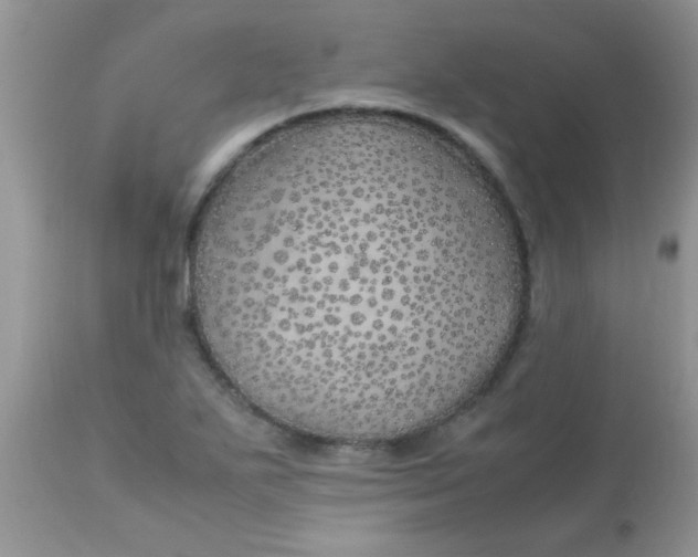 X0000113091271200909182105