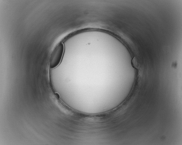 X0000113091272200909182105