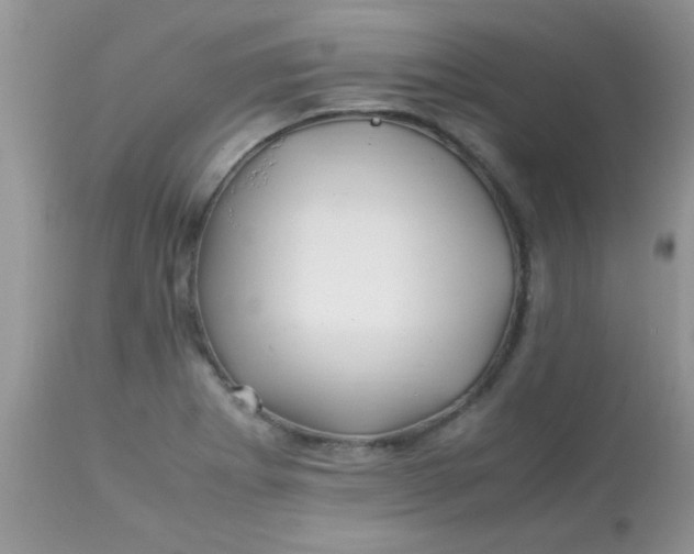 X0000113091273200909182105