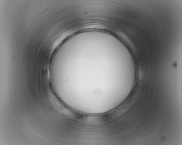 X0000113091274200909182105