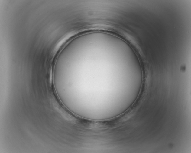 X0000113091275200909182105