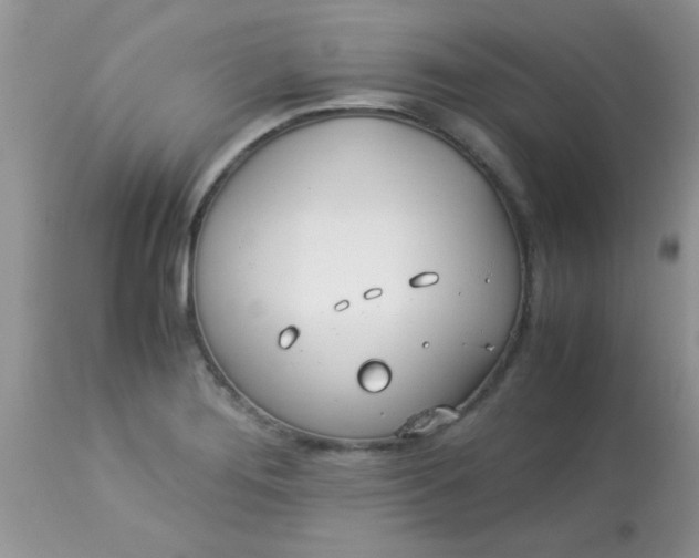 X0000113091276200909182105