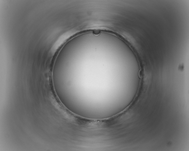 X0000113091277200909182105
