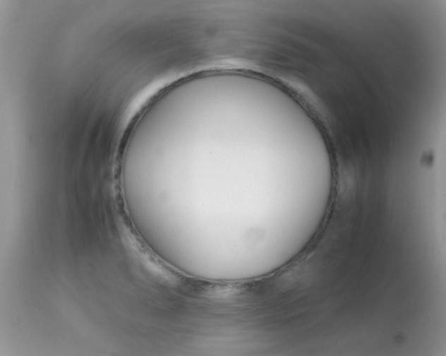 X0000113091278200909182104