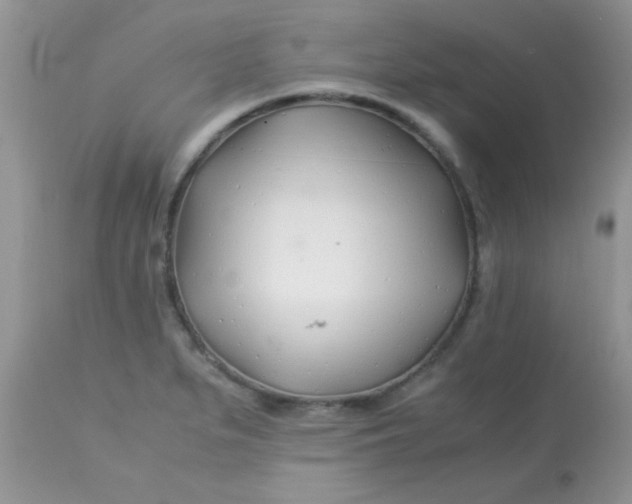 X0000113091279200909182104