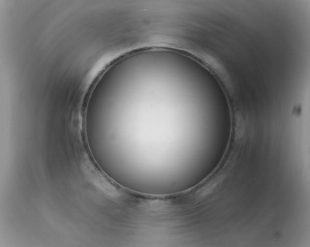 X0000113091280200909182104