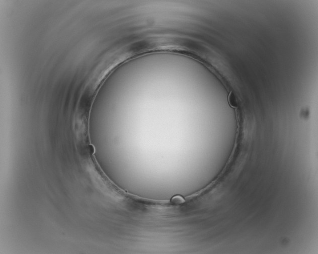 X0000113091281200909182104
