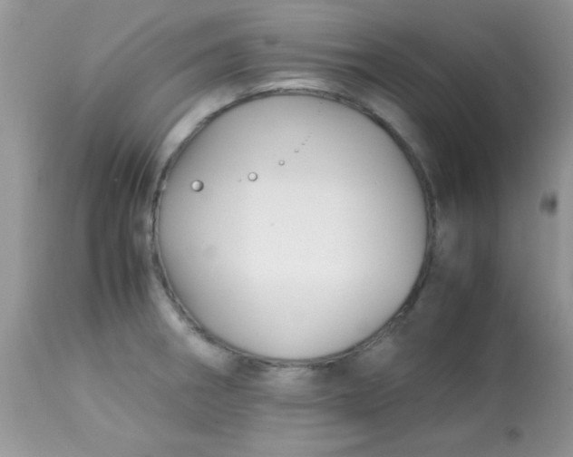 X0000113091282200909182104