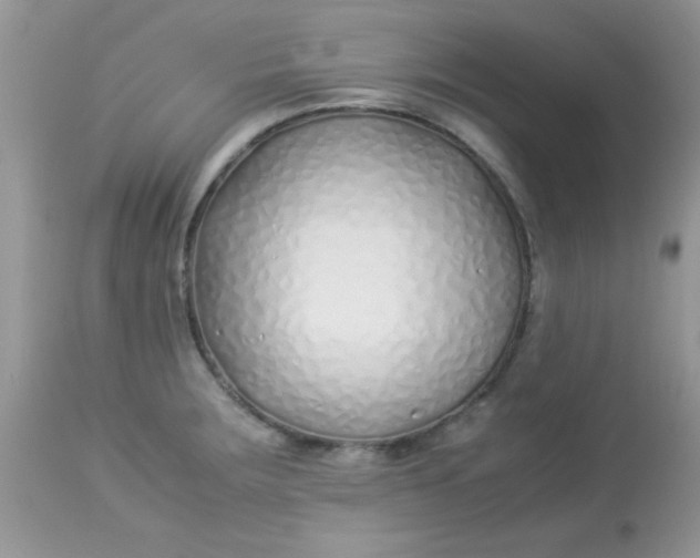 X0000113091283200909182104