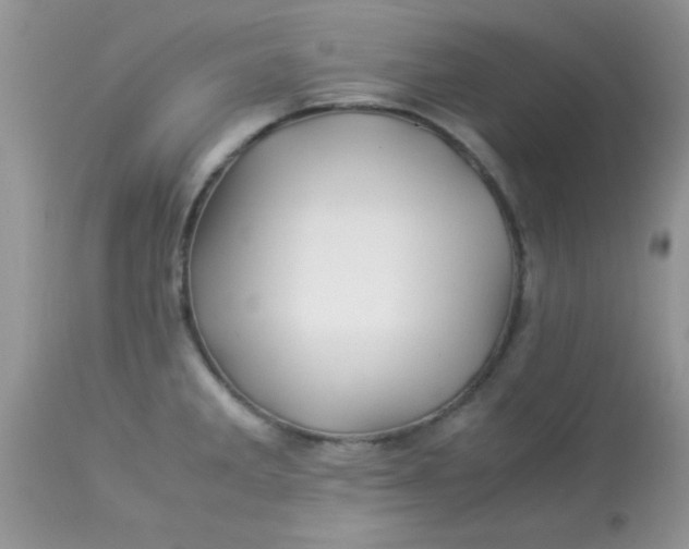 X0000113091285200909182104