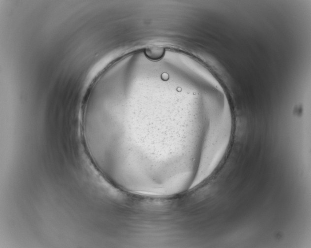 X0000113091286200909182104