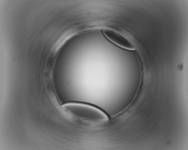 X0000113091289200909182104